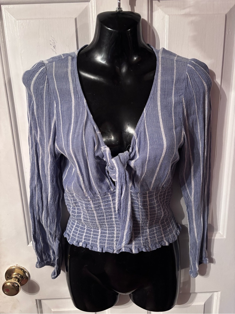 American Eagle Outfitters Blue and White Striped Tie-Front Crop Top